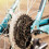 3 Pack Bike Spoke Protector Flywheel Spokes Guard Plastic Cover 7