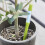 5 pc Plant Soil Moisture Sensor,House Plant Soil Moisture Meter 5