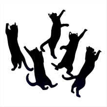 5Pcs Metal Cat Bookmarks Cute Black-Cat Book Markers Cat Lover Gifts