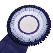 Second Place Rosette Ribbon Badge Blue/Red 52x14cm Small Winner Medal