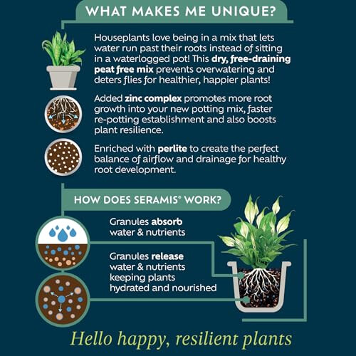 Westland Houseplant Potting Mix 4L 1