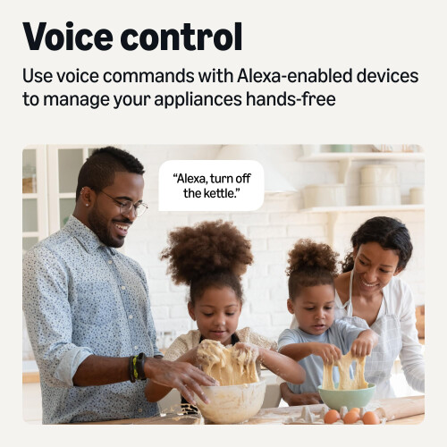 Amazon Amazon Basics Single Outlet Indoor Wi,Fi Smart Plug, works with Alexa only, 2