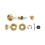 Dunlop Jim, Dunlop, Straplock, Dual, Design, Gold 4