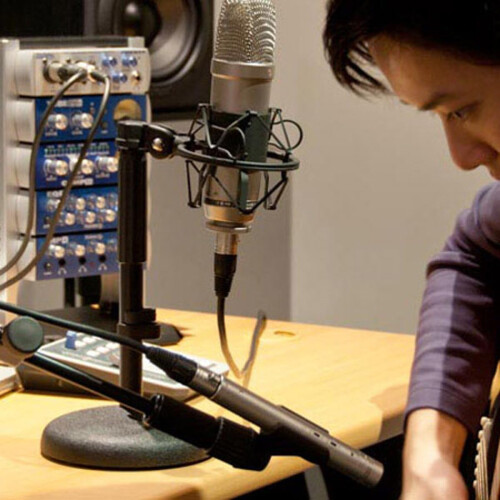 Rode DE, DS1, Desktop, Microphone, Stand 1