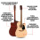 Fender Fender, FA-25CE, Dreadnought, Acoustic, Guitar, Walnut, Fingerboard, Natural 2