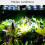 Reptiles dimspridare regnskogstank 360 justerbar, A 5