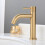 2X Brush Gold Single Cold Basin Faucet 304 Material Basin Mixer-A 3