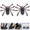1Paire Clips Chaussures Noir Décoration Polyvalente 3