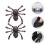 1Paire Clips Chaussures Noir Décoration Polyvalente 5
