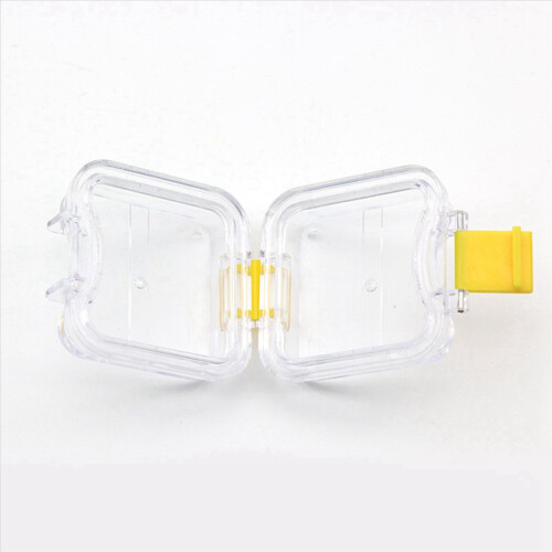 10 stk. plastprotese-tannboks 2