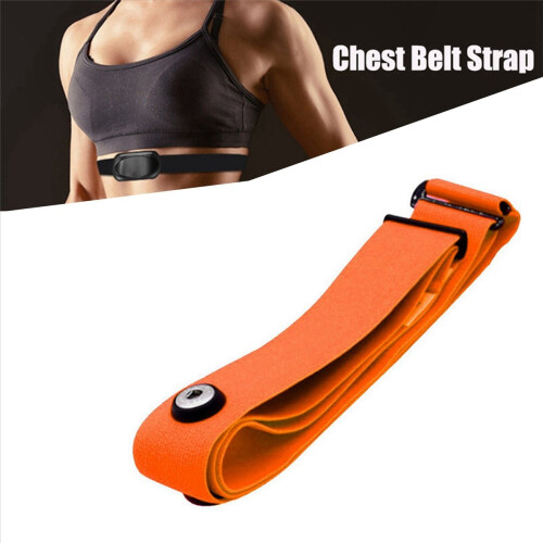 for pulsbelte med elastisk stropp 1