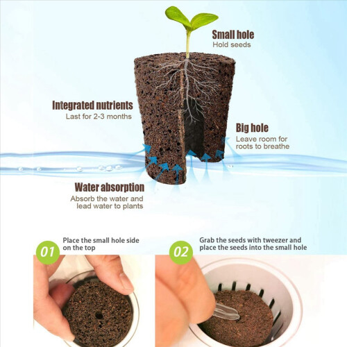 Odlingssvampar för hydroponisk inomhusträdgård med näringsämnen 1
