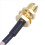 Cabo coaxial pigtail SMA fêmea de 8 polegadas para TS9 macho RG316 6