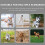 2-Teiliges Set Hundehalsband Einstellen Haustier 9