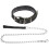 2-Teiliges Set Hundehalsband Einstellen Haustier 1