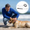 2-Teiliges Set Hundehalsband Einstellen Haustier 6