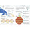 How to be Good at Maths: The Simplest-Ever Visual Guide 9