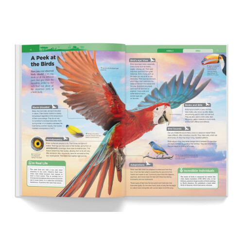 Knowledge Encyclopedia - Animals: Deluxe Edition (Knowledge Encyclopedia for Children) 2