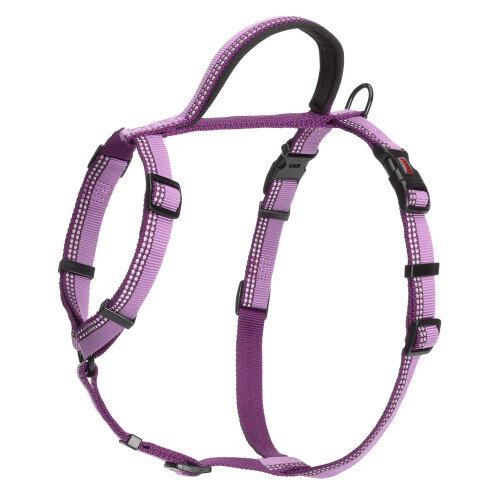 HALTI Walking Harness, Small, Purple, Reflective & Adjustable 1