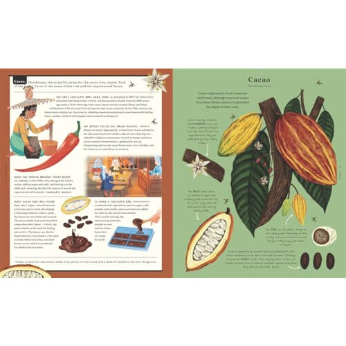 The Stuff That Stuff is Made of: The Things We Make With Plants 2