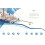 Shackleton's Journey 10th Anniversary Edition 4