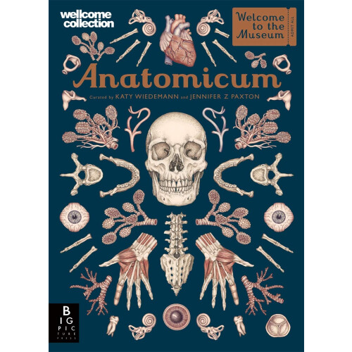 Anatomicum 1