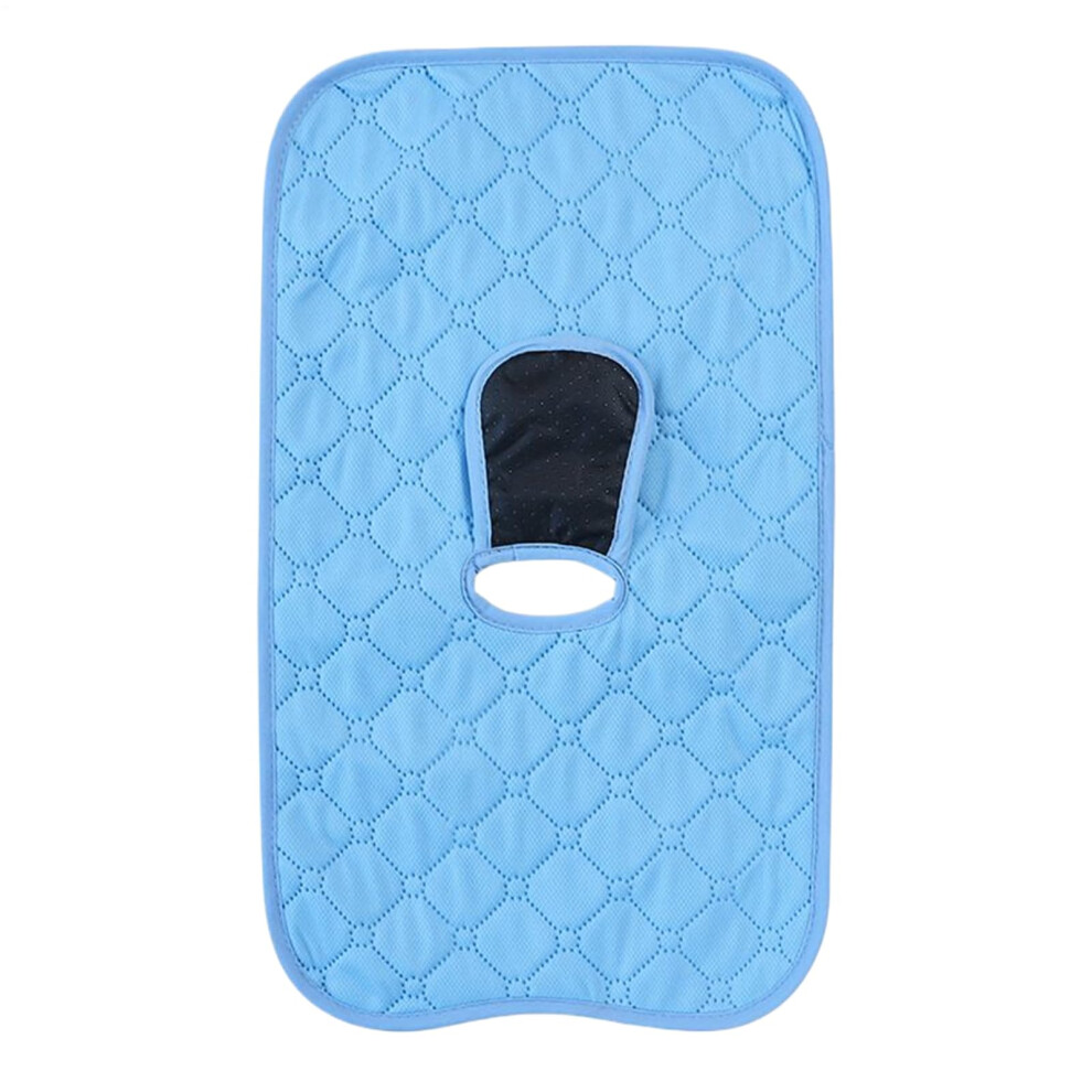 Car Seat Potty Training Protector Waterproof Liner For Toddlers Portable Changing Pad Travel Urinal Mat Blue