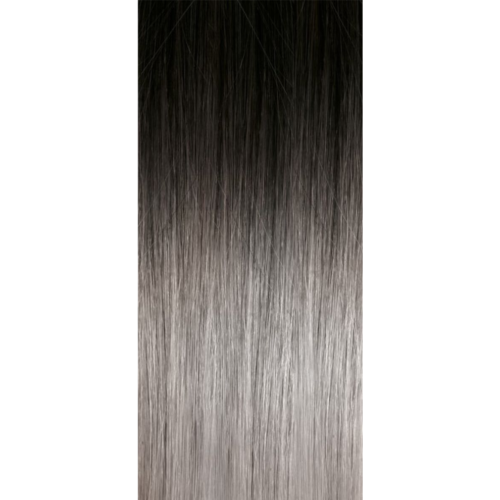 Seiseta Tape-In Russian Hair Extension 6 Pcs Ombre 1B/Sil Silver Black/Silver 55Cm
