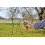 Gartenschere, Grau, 26 x 10,5 x 3 [Energieklasse A] 3