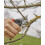 Gartenschere, Grau, 26 x 10,5 x 3 [Energieklasse A] 2