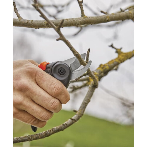 Gartenschere, Grau, 26 x 10,5 x 3 [Energieklasse A] 1