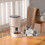 WIFI Button Automatic Cat Feeder Intelligent Cat and Dog Pet Feeder 5