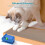 Card Board Cutter for Cat Scratchers Recycle Tool 3