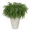 8PCS Christmas Norfolk Pine Branches,Artificial Faux Greenery Stem 1