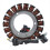 Motorrad-Stator-Zündspule 3090219 3090155 3
