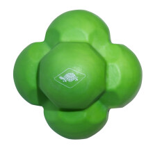 Schildkr?t Fitness Reaction Ball
