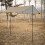 Camping Awning with Poles Waterproof UV Protection 9