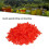 20Pcs Queen Bees Cage Bees Queen Plastic Opening Queen Bees Cell 6