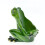 Distinctive Resin Frogs Wine Rack Stand Shelf for Wine 1