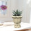 Flexible Silicone Planter Mold Creative Bowknot Succulent Holder 5