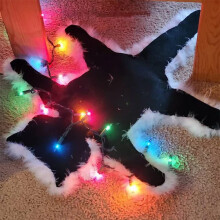 Cat Plush Carpet Small Area Rugs with Lights, Cute Fried Cat Design for Bedroom and Living Room Xmas Decor, 3ft