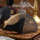 Coffee Filter Holder Dustproof Hand Drip Filtering Paper Box 7