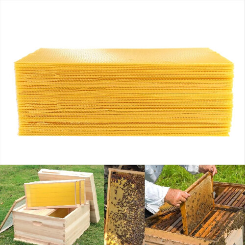 30 folhas de base Bee Hive, folhas de base de cera de abelha profunda 2