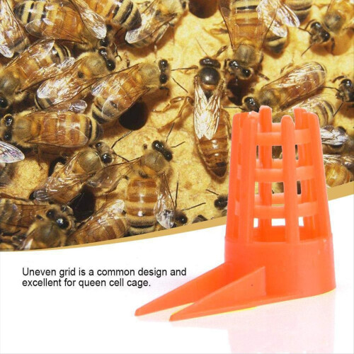 Protetores de Célula Queen com Pente de Encaixe para Bee Queen 2