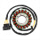 21040109701 Bobina dello statore del generatore per ODES 800 UTV DOMINATOR 2