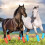 Horse Fly Boots Reusable Leggins Gray 4