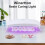 Draagbare UV-harslamp voor snelle uitharding 2