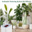 Automatic Watering System Smart Drip Irrigation Machine Waterer 2