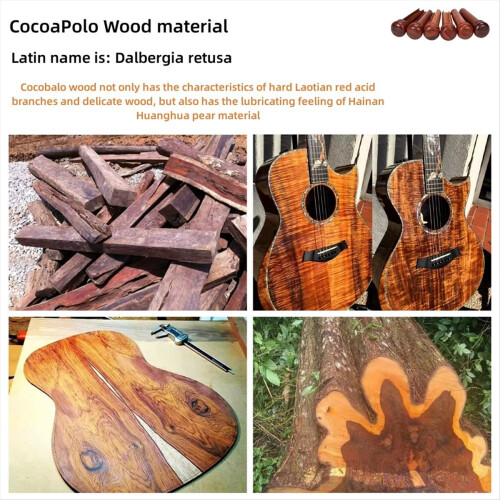 6pcs Cocobolo Guitar Bridge Pins for Enhanced String Instrument 2