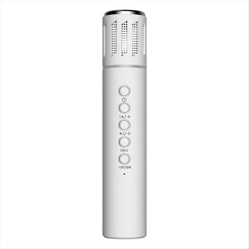 Draadloze Bluetooth draagbare handmicrofoon voor thuis KTV-audio, wit